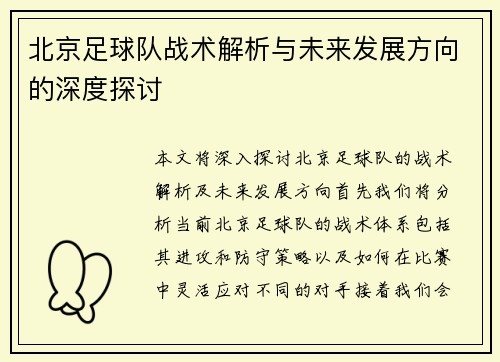 北京足球队战术解析与未来发展方向的深度探讨