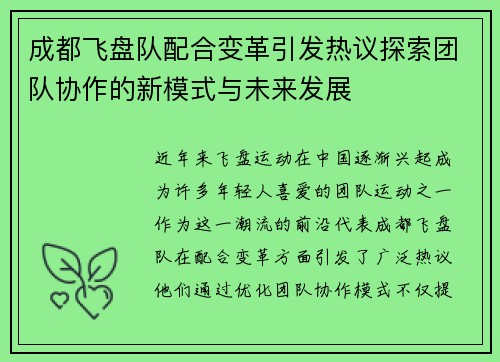 成都飞盘队配合变革引发热议探索团队协作的新模式与未来发展