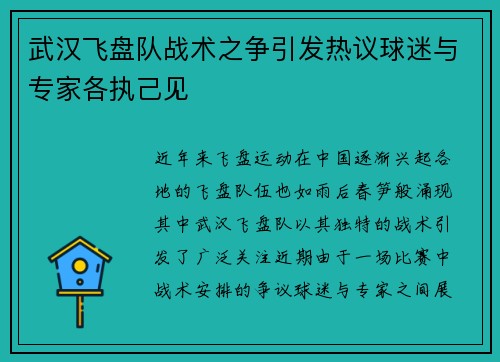 武汉飞盘队战术之争引发热议球迷与专家各执己见