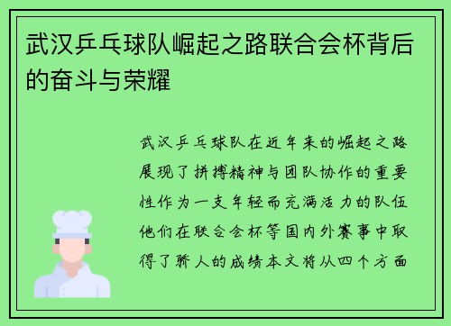 武汉乒乓球队崛起之路联合会杯背后的奋斗与荣耀
