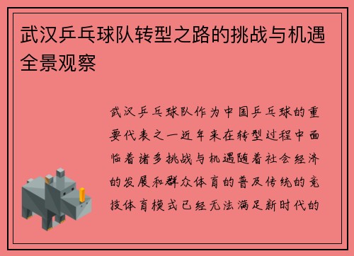 武汉乒乓球队转型之路的挑战与机遇全景观察